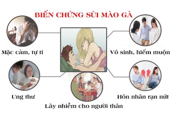 bien-chung-sui-mao-ga2 (1).jpg