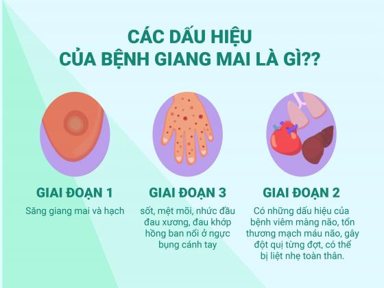 benh-giang-mai-nguy-hiem-nhu-the-nao-cac-trieu-chung-va-cach-dieu-tri-ra-sao-1504-2.jpg